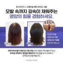 앤하우스 이미지