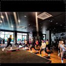 메이져 복싱 이미지