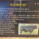 우아한 날