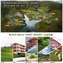 (주)블랙스톤에듀팜리조트 골프장 이미지