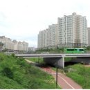 디자인안