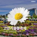 삼보로얄아파트 | 2025 고양 가을꽃축제 안내