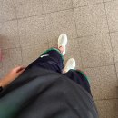2026 피크 락 페스티벌 갔다 온 이야기