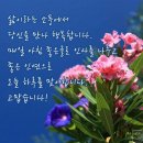 &#34;충남 태안(&#39;신진도&#39;)과 예산(&#39;덕산온천&#39;)을 찾아서&#34;＜2019.07.25(목)＞ 이미지