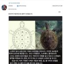 경주 시내 유적, 모두 &#34;별자리&#34;에서 비롯된 설계였다 | &#39;첨성대 별기&#39; 1부 [울산MBC 다큐멘터리] 이미지