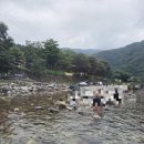 가평잣갈비 | 가평 명지계곡 후기 🚗 주차팁 · 물놀이 · 8살 아이랑 가족 나들이 정보 총정리