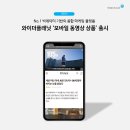 와이던 머니투데이