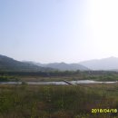 고달리다리 이미지