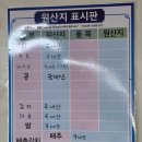 남성초등학교 | 청주 분평동 칼국수 맛집 '중문칼국수' 후기