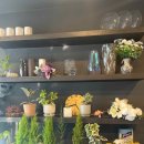 리즈플라워 이미지