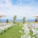 캠퍼트리 호텔 앤 리조트 이미지