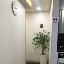 아이비네일 | 성신여대네일 찾다가 다녀온 아이비뷰티샵 손끝 분위기 후기