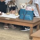 택스커피 이미지
