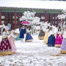 (Dec. 1st) Seoul Hit by Biggest Snowstorm in 52 Years 이미지