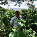 호코농장 이미지