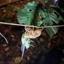 경이의세계 이미지