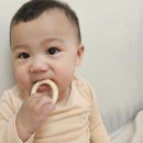 다원교육 - 강남구 삼성로 301 | 돌아기 집중놀이 추천🙂 에렌이 실제 반응 좋았던 다원몬테소리 원목교구 후기.3탄