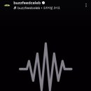 셀럽퍼피 이미지