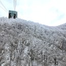 영남알프스 얼음골 케이블카 및 감물리 여물통 한우중식. 이미지