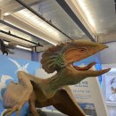 우석헌자연사박물관 이미지