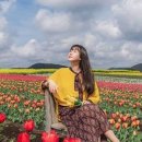 신신투어 이미지
