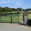 영신군이이묘 이미지