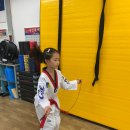 용인대백상태권도 이미지