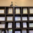 역삼연치과의원 이미지