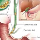 더본한의원 이미지