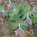 청북중학교 이미지