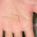 페이머스치킨 이미지