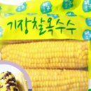기장 찰옥수수 네이버블로그