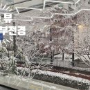 여기짐 네이버블로그