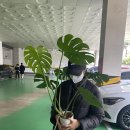 버스정류장 07-417 티스토리