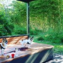 강아지 대공원 이미지