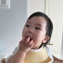 오티농장 네이버블로그