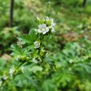 시동농장 이미지