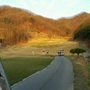 파가니카 C.C 이미지