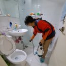 삼정그린코아아파트 이미지