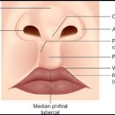 마노성형외과의원 이미지