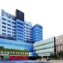 분당-145 이미지