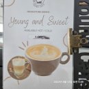 샤인호텔 이미지