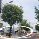 세차의 고수(대전 서구점) 이미지