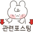 뮤직 인 더 다크 | 외국 공포영화 [스포주의] 맨인더다크2 줄거리 및 후기