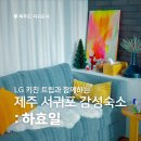 하효일 | 제주 서귀포 감성숙소 하효일 재방문 후기! (LG 키친 트립, 서귀포 에어비앤비 추천)