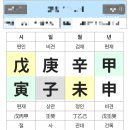 (주)무지개팜 | 내가 문제였네 이것들아 잘왔다