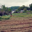 쑤니네 농장 이미지