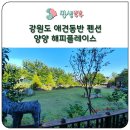 속초 애견펜션 양양 해피 플레이스 | 강원도 애견동반 펜션 양양 해피플레이스 가족여행 숙소로 딱!