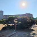 안산 초등학교 병설유치원 이미지