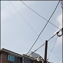 새마을빌라 앞 이미지